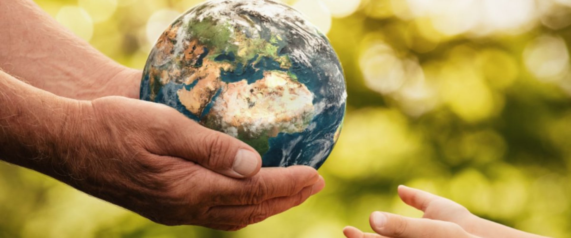 Sustainable Living Practices Around the World