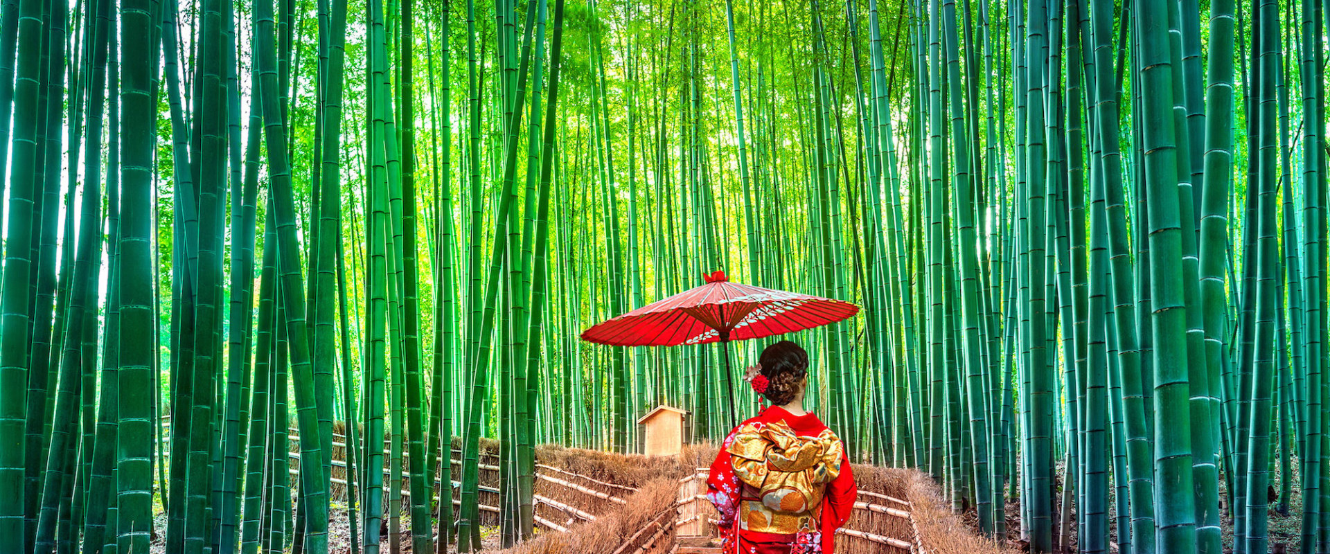 Popular Study Abroad Destinations
