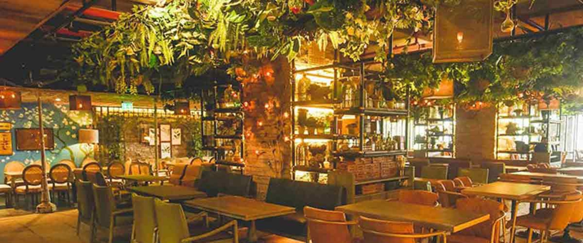 Exploring the World of Restaurants