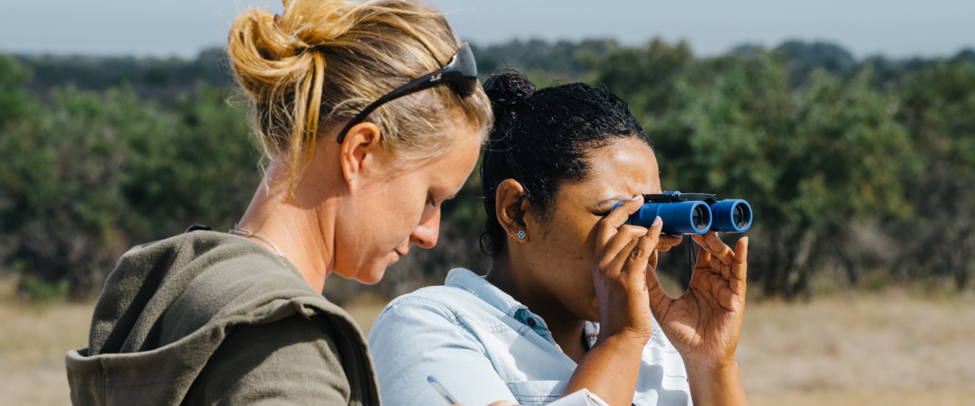 Exploring Internship Opportunities Abroad