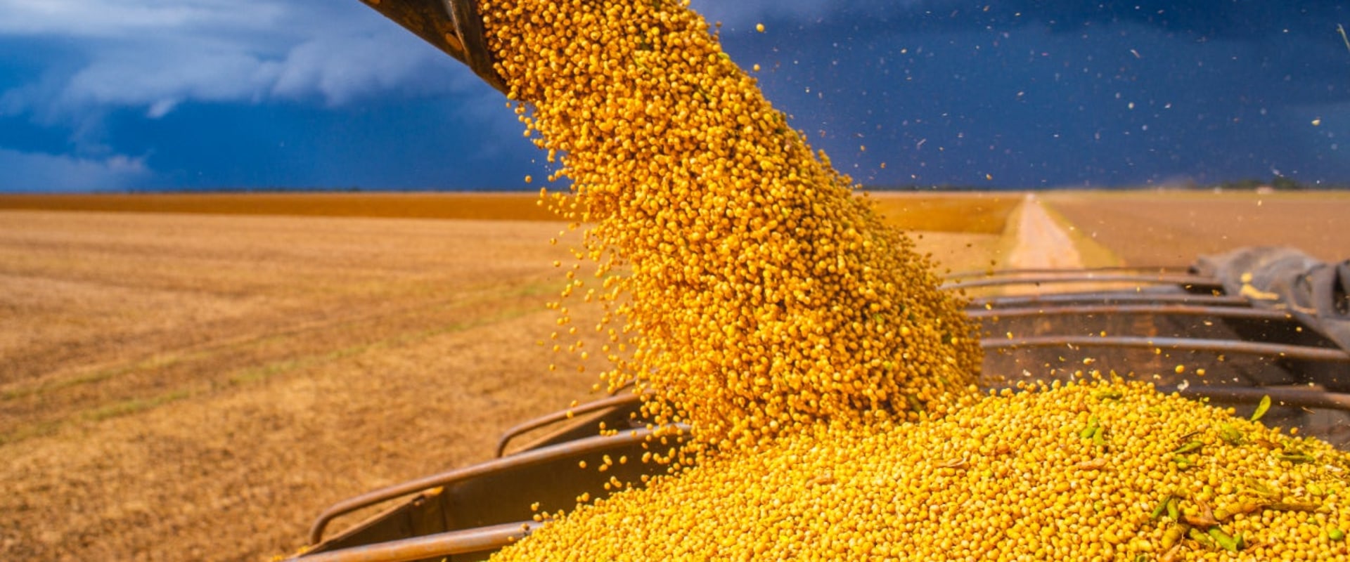 Investing in Commodities