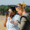 Exploring Internship Opportunities Abroad