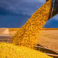 Investing in Commodities