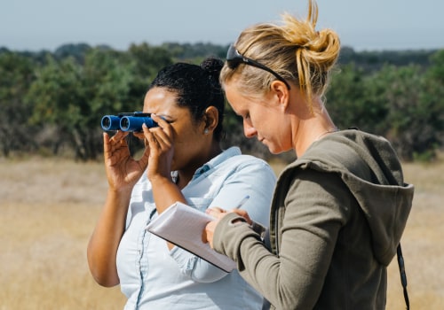 Exploring Internship Opportunities Abroad