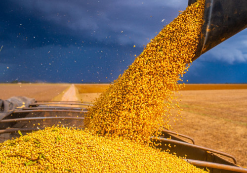 Investing in Commodities